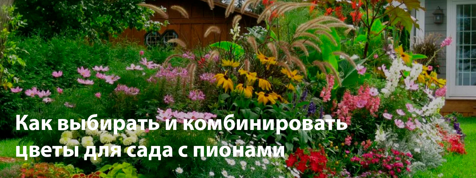 Как выбирать и комбинировать цветы для сада с пионами