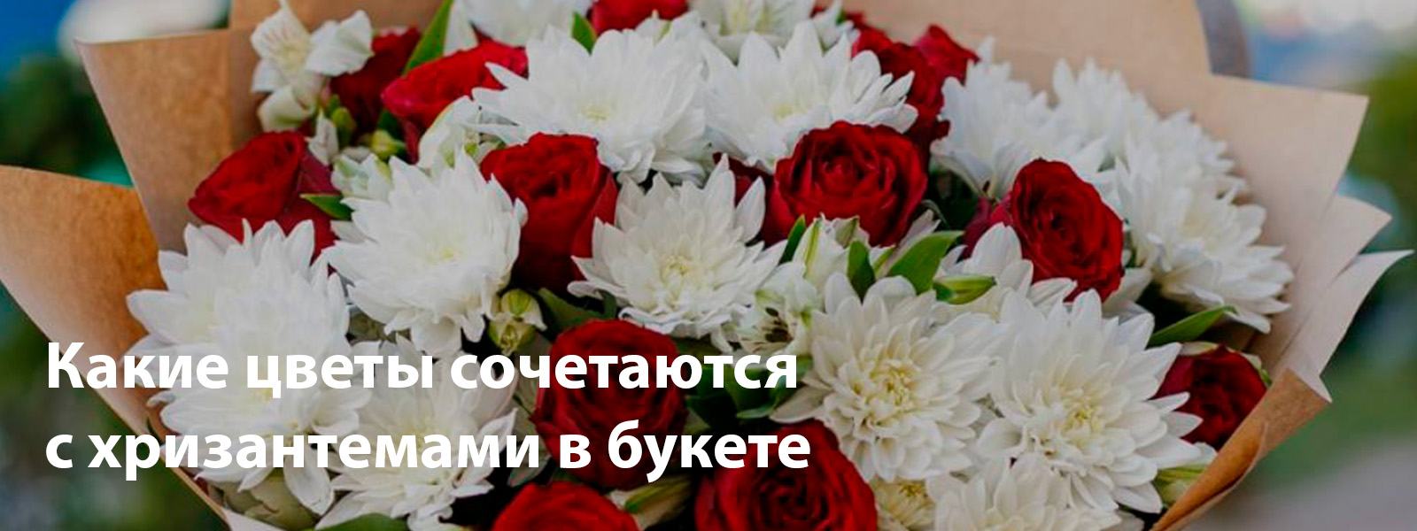 Какие цветы сочетаются с хризантемами в букете