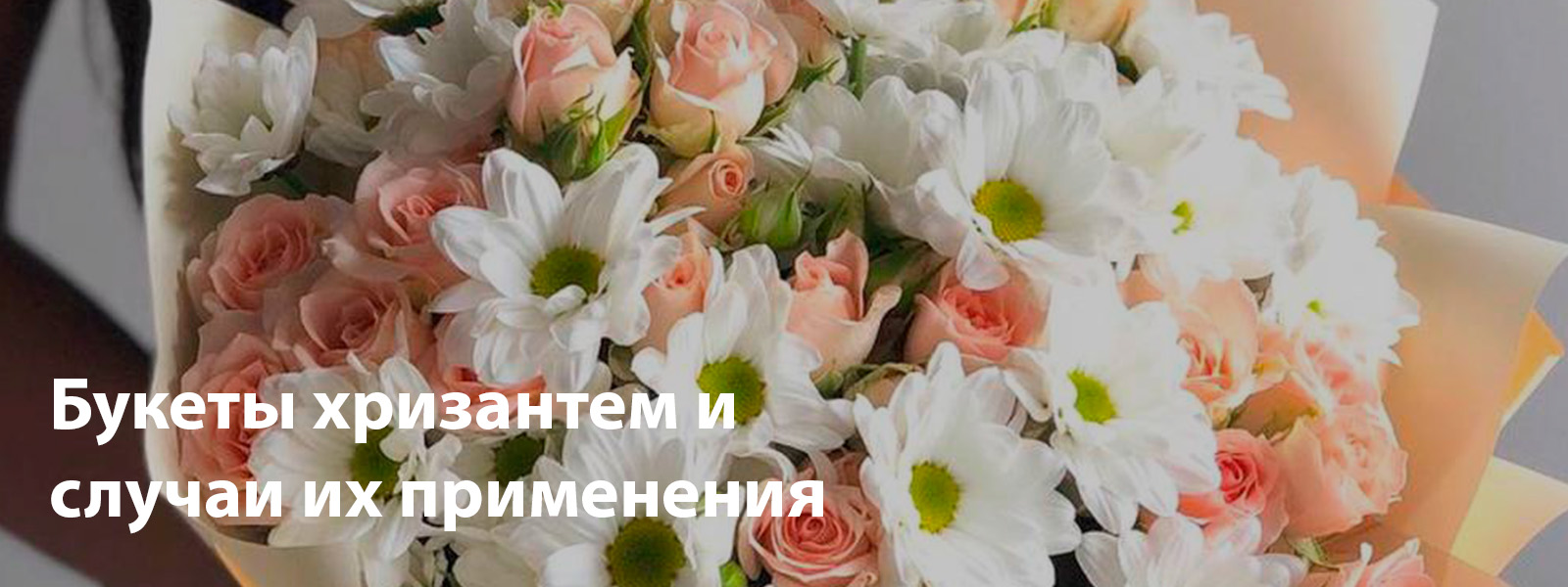 Букеты хризантем и случаи их применения