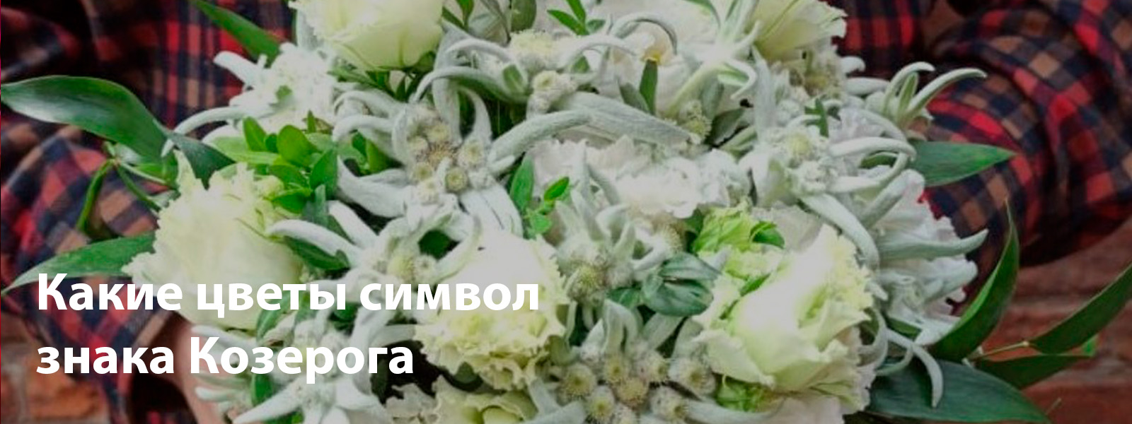 Какие цветы символ знака Козерога