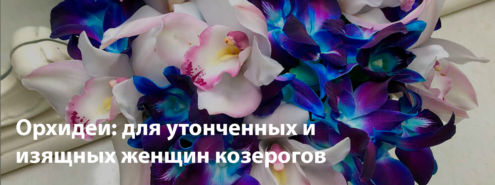 Орхидеи: для утонченных и изящных женщин козерогов