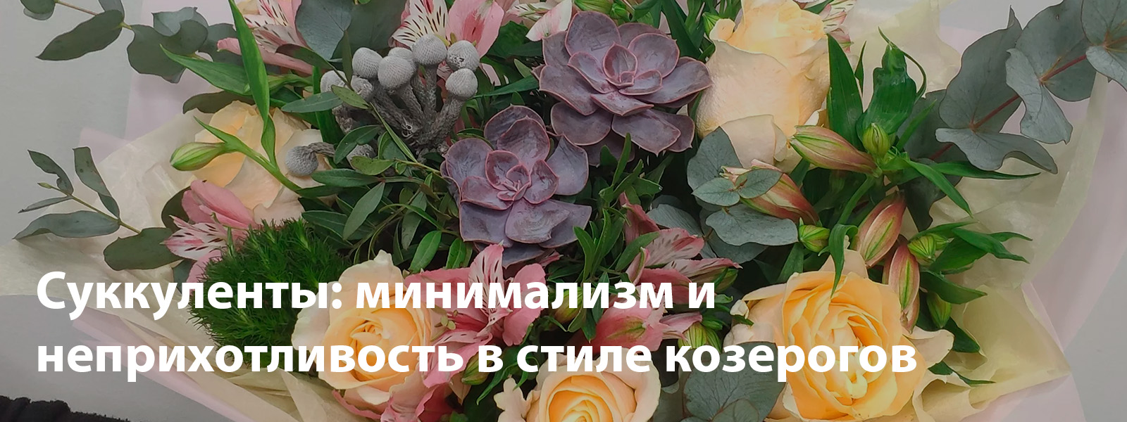 Суккуленты: минимализм и неприхотливость в стиле козерогов