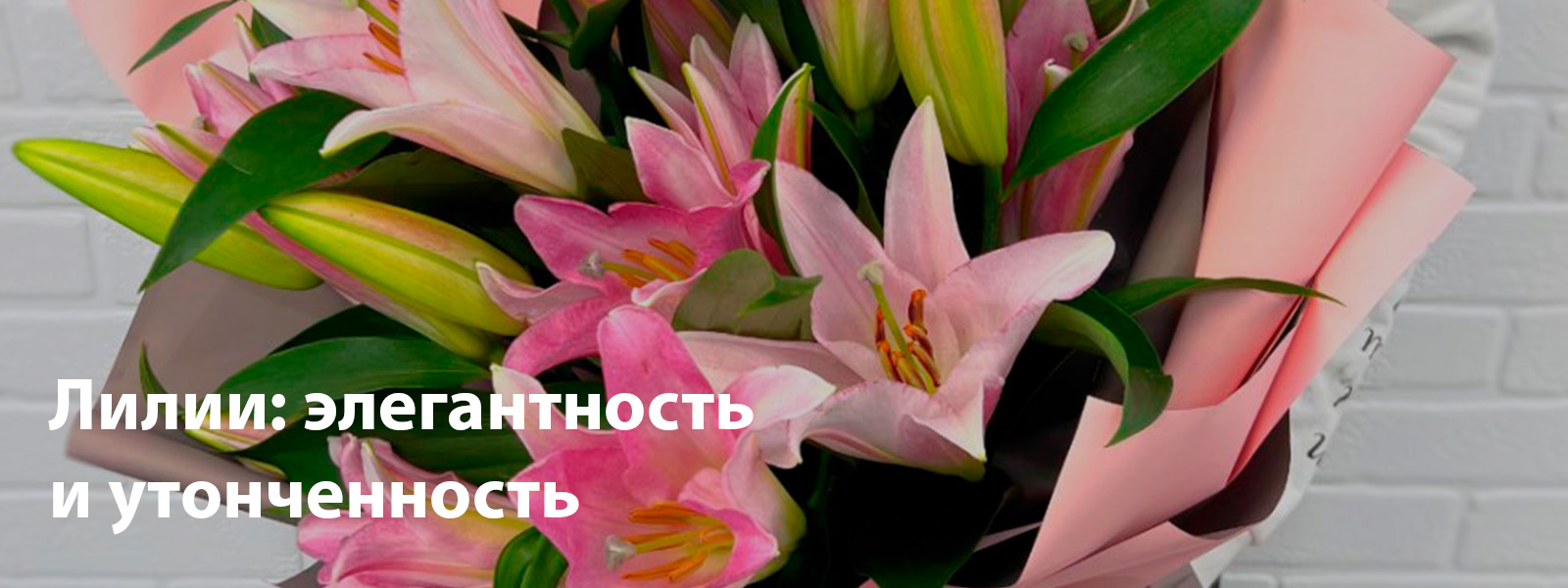 Лилии: элегантность и утонченность