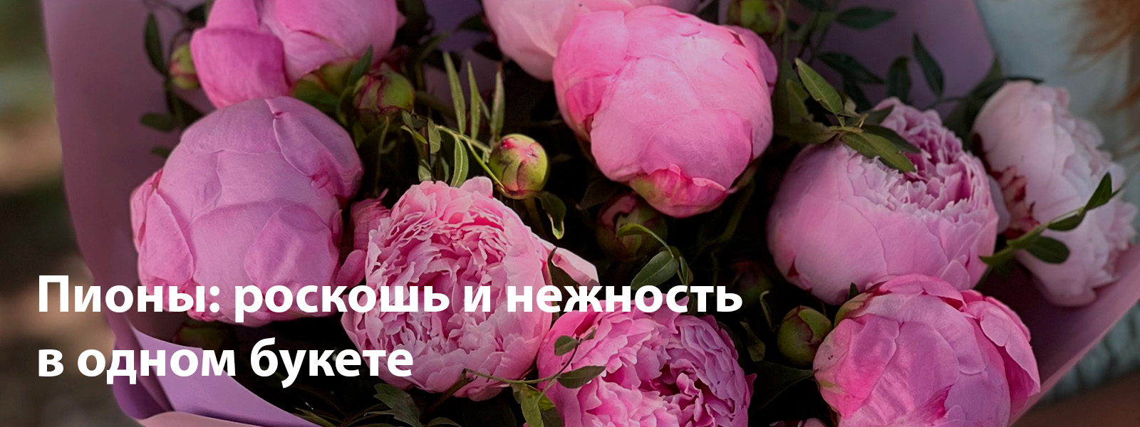 Пионы: роскошь и нежность в одном букете