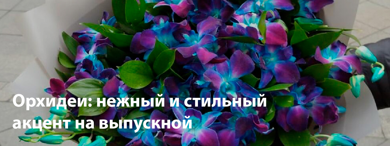 Орхидеи: нежный и стильный акцент
