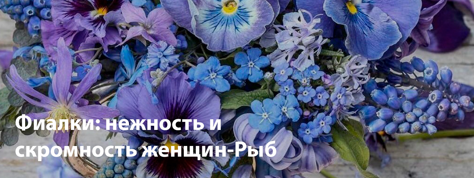 Фиалки: нежность и скромность женщин-Рыб