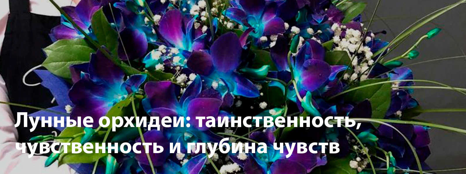 Лунные орхидеи: таинственность, чувственность и глубина чувств женщин-Рыб
