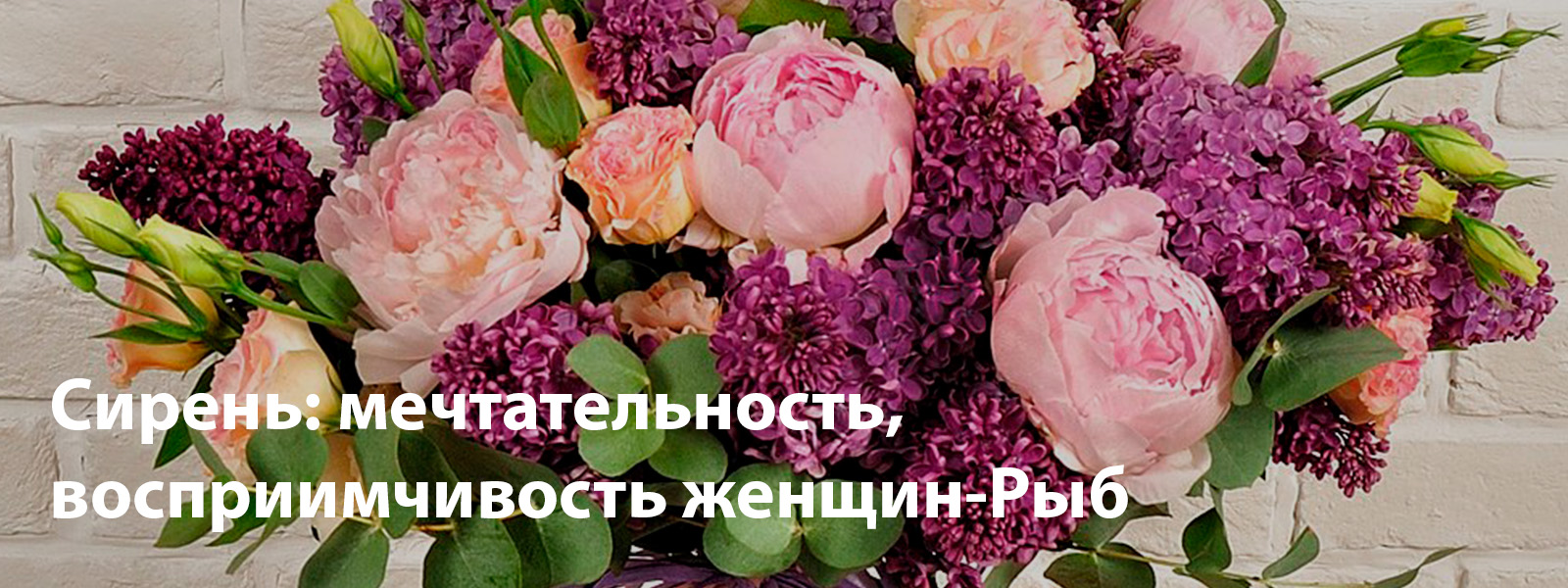 Сирень: мечтательность, восприимчивость женщин-Рыб