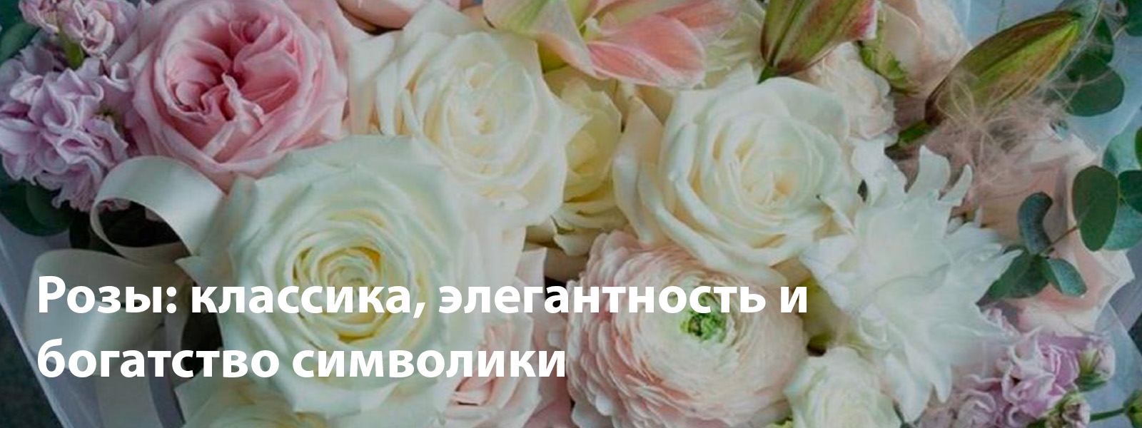 Розы: классика, элегантность и богатство символики женщины-Рыбы