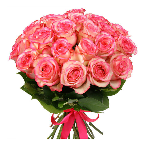 Букет из 35 коралловых роз (Paloma)