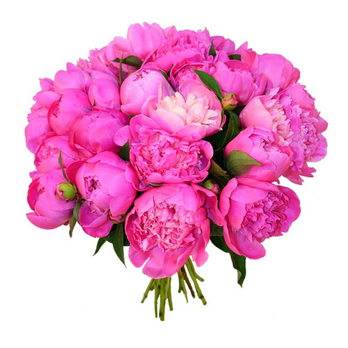 25 Пионов