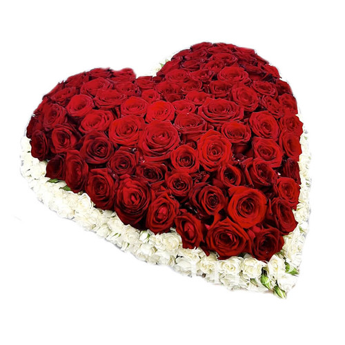 Сердце из 101 красной и белой розы